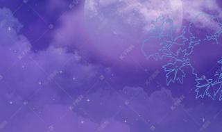 星空紫玫瑰花语 梦幻冰紫色星空少女