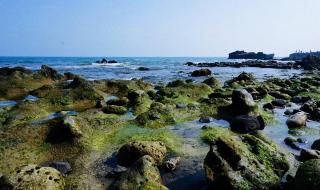 别人说空气都是甜的怎么回复 空气是甜的女人现状