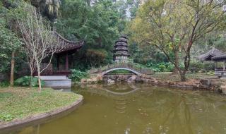 深圳园博园好玩吗