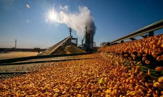 电影预言的灾难预言 预言11月更大的灾难