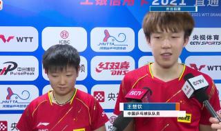 孙颖莎王楚钦混双冠军