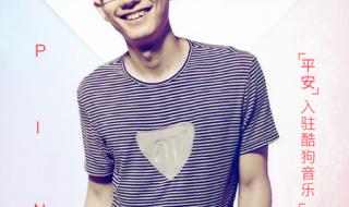 中国好声音歌手平安