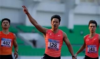 苏炳添的单位 苏炳添曾研究自己