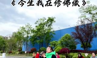 今生我在修佛缘原唱是谁 今生我在修佛缘原唱