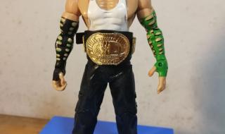 wwe摔跤手全部名单图片