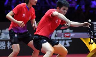 许昕和刘诗雯谁大 刘诗雯许昕历年成绩